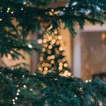 Oh Tannenbaum