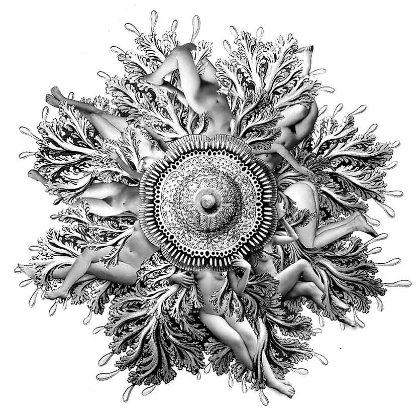 Tapa 1670