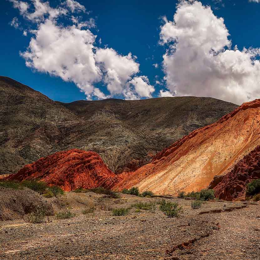 Tapa 1686