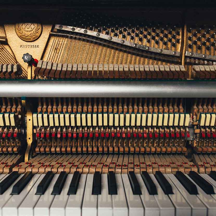 Tapa 487